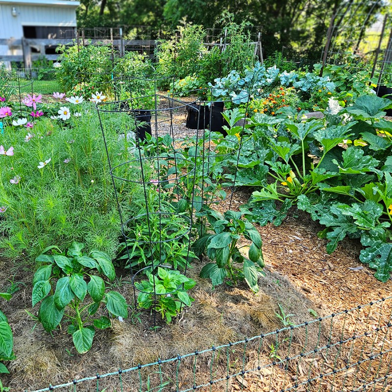Breaking Gardening Rules