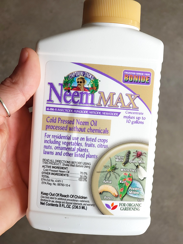 A bottle of neem oil