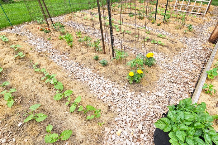 Growing Rows In Spring – What To Do Before Planting The Garden