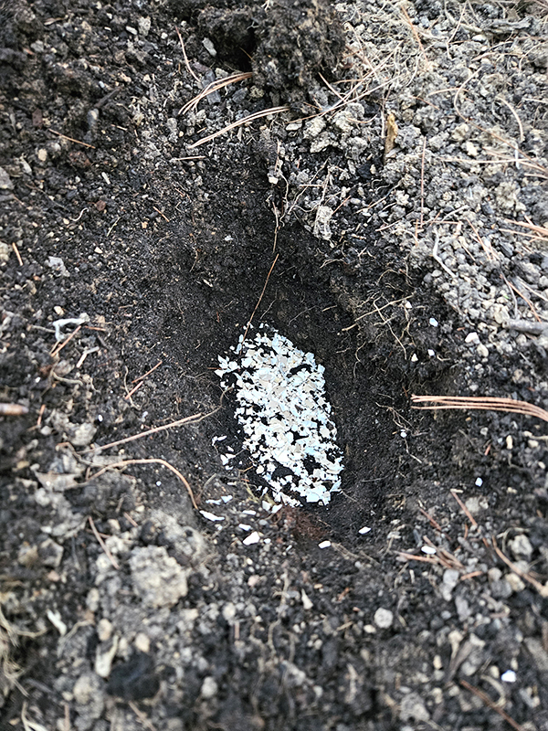 A hole with egg shells and soil. 