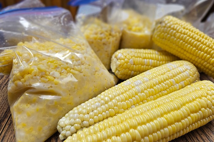 Harvesting & Preserving Sweet Corn – Freeze Now To Enjoy Later!