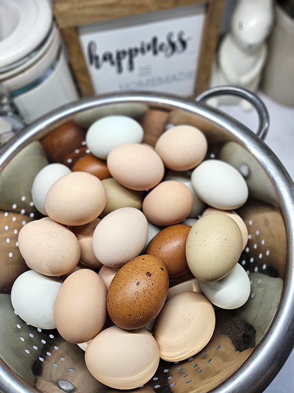 A bowl of differently colored chicken eggs