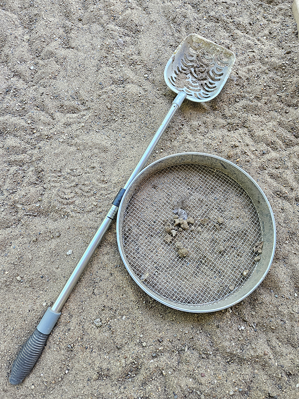 A long handled kitty litter scoop and a sieve - histoplasmosis and raising chickens