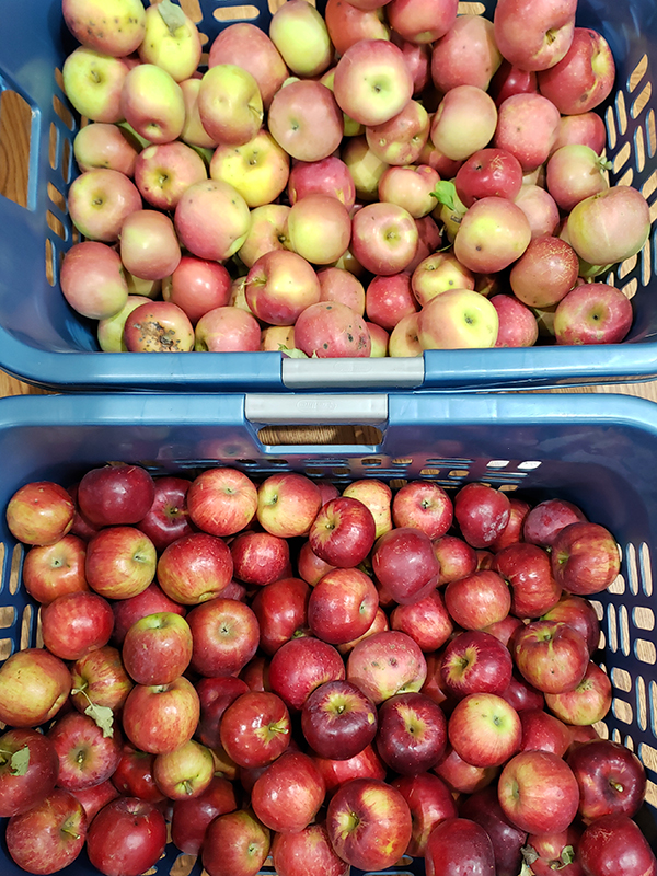 Two types of apples in baskets