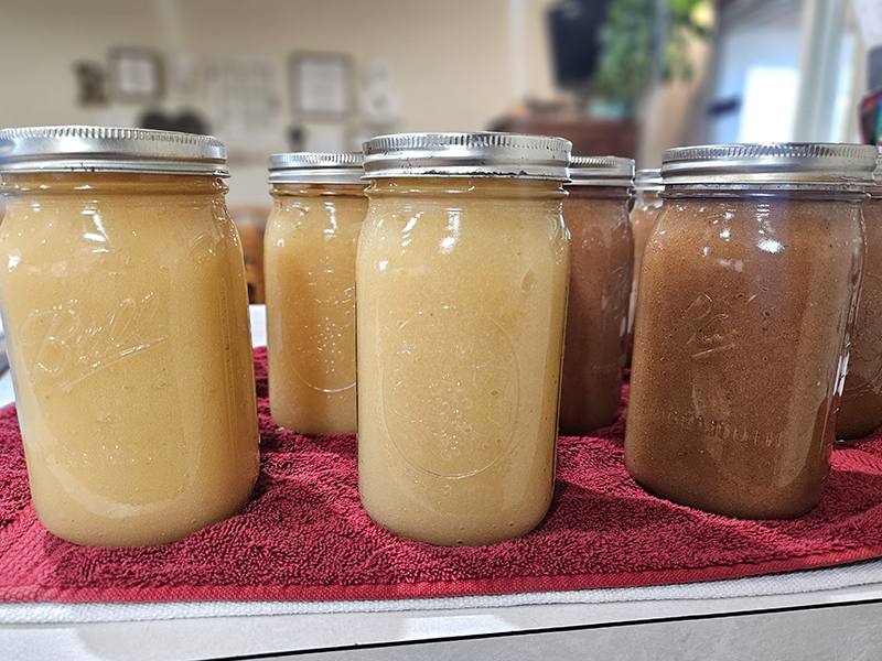 Jars of easy homemade applesauce