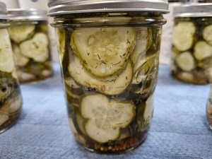Homemade Dill Pickles Canned