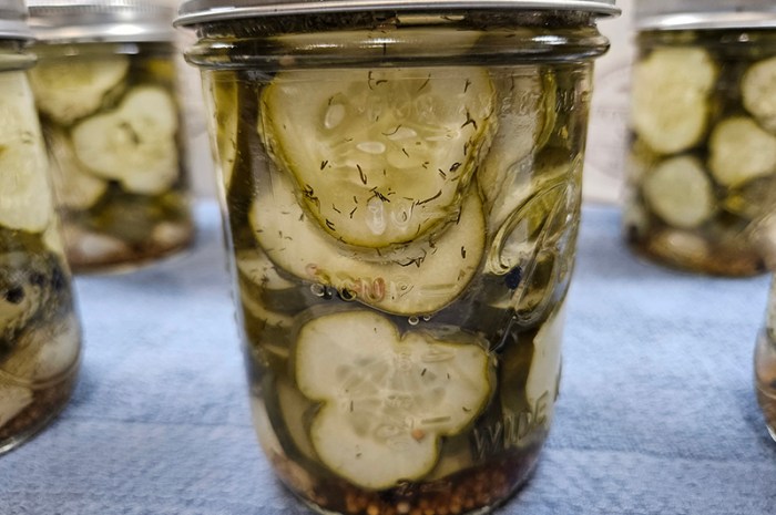 Homemade Dill Pickles – Say Goodbye To Soggy Slices!
