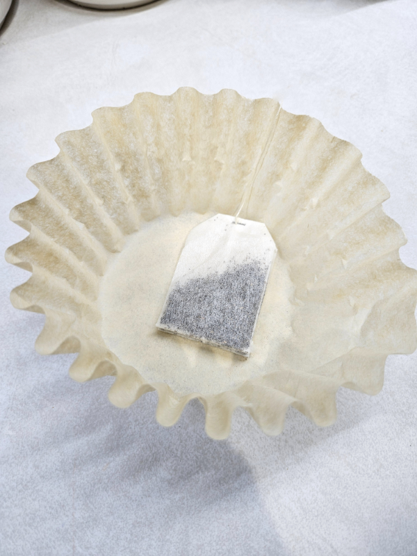 A tea bag and coffee filter - Everyday Household Items You Can Compost