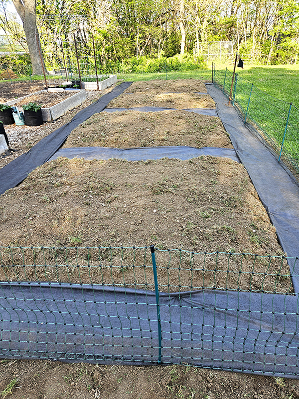 Weed fabric in the walking spaces around the new In-ground raised garden beds