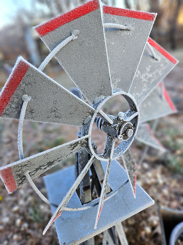 Frost on my garden windmill - Indoor Seed Starting 101