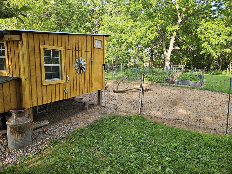 Our chicken yard setup with the garden in the background 
