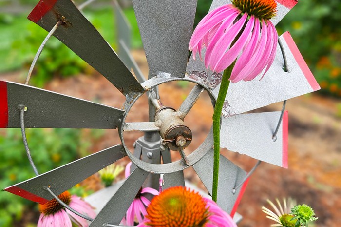 July 2025 Homesteading Update: The Garden Grows Wild!
