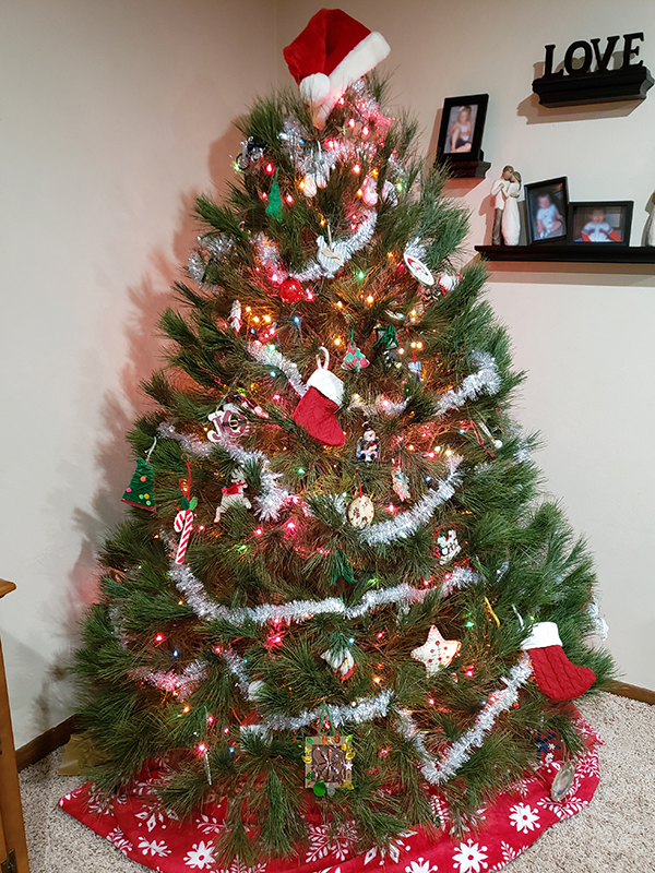 Live christmas tree decorated