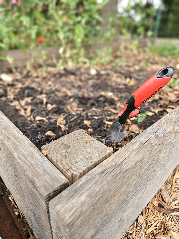 Soil in a raised bed