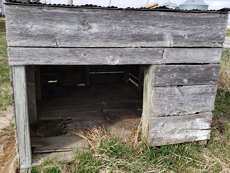 An old lamb shelter