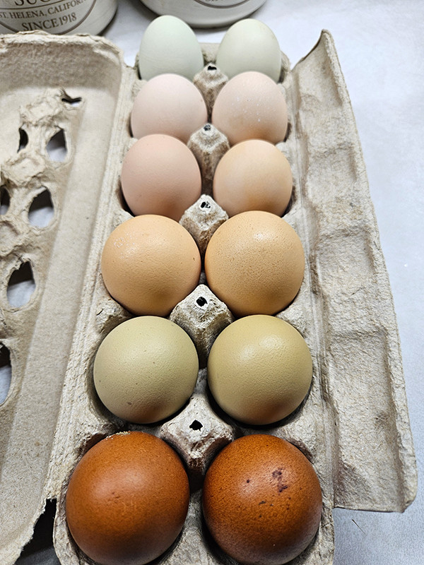 A carton of eggs in a "rainbow" coloring