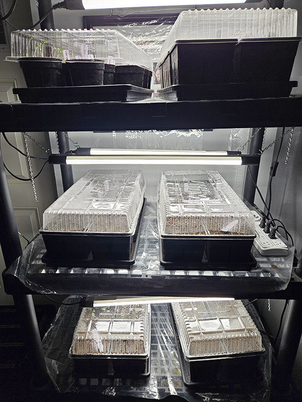 March 2025 Homesteading Update - My Seed Stand Setup