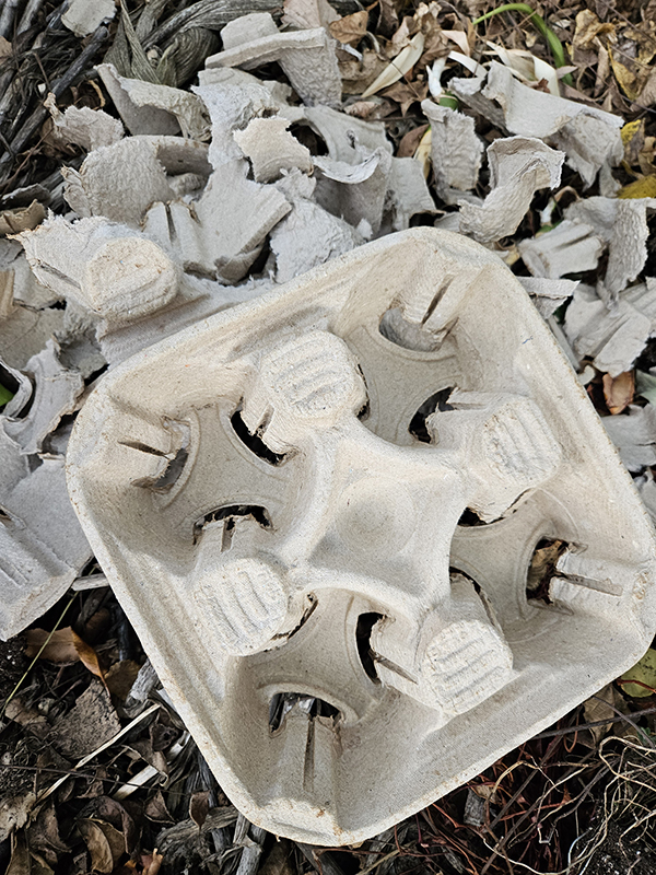 Cardboard drink carrier in a compost pile