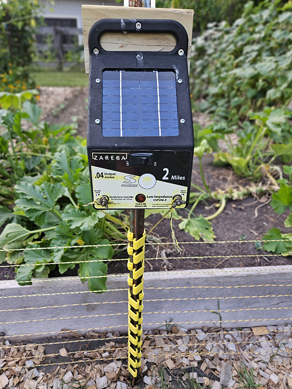 The solar electric fence we use to help secure our garden this summer.