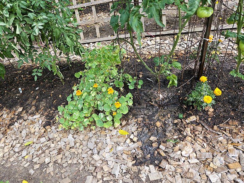 Soil eroding onto my walking rows