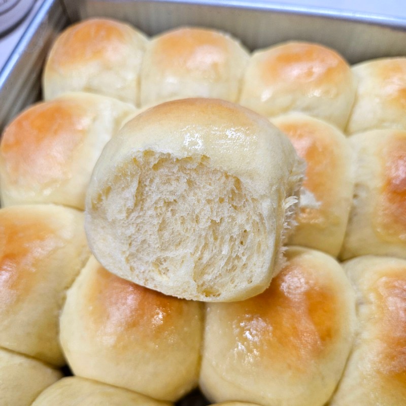 Easy Homemade Dinner Rolls