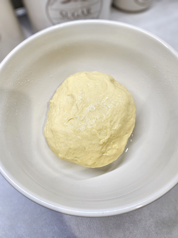 Before first proof - Easy Homemade Dinner Rolls