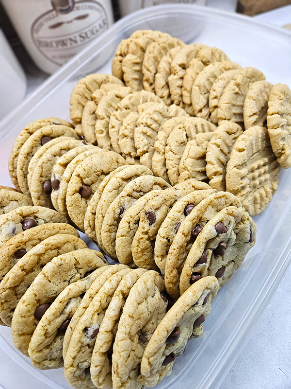 A plastic container full of cookies in rows.