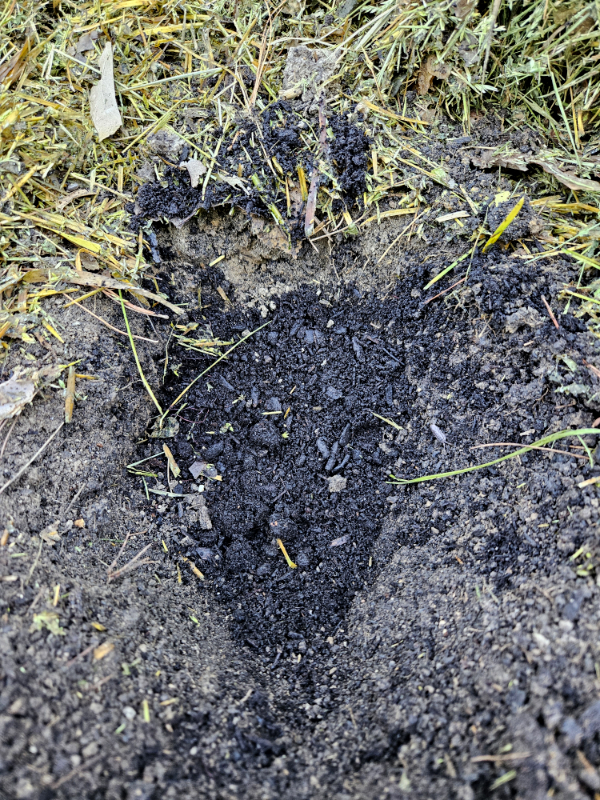 Compost in a hole - Garden Planting Tips