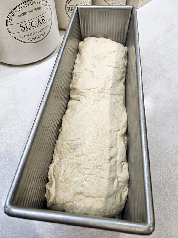 A not so beautiful dough in the pan ready to rise
