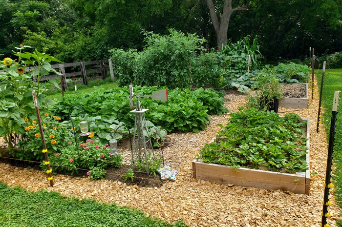 Converting A Traditional Garden To A Raised Row Garden