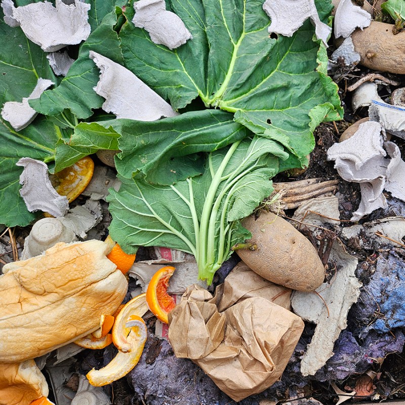 A pile of food waste in a compost bin - reduce food waste