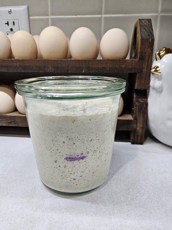 A starter that has doubled in size.