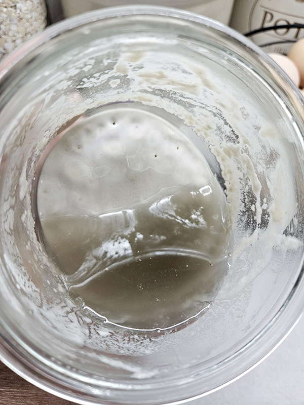 A dark hooch on a hungry sourdough starter