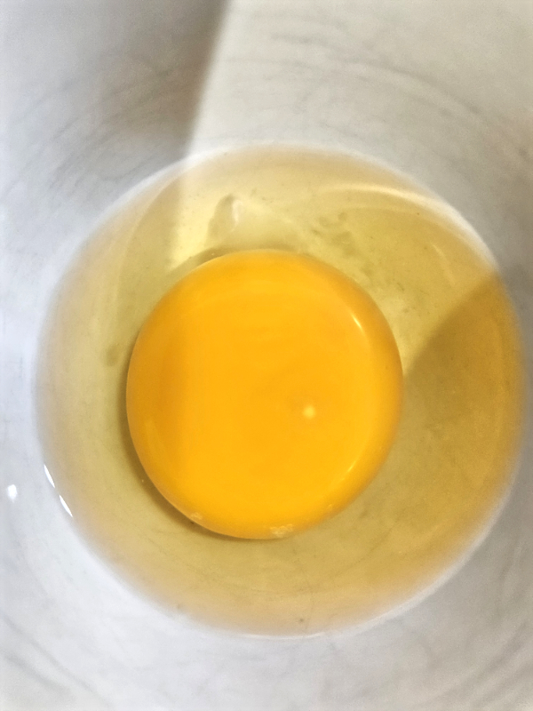 The blastodisc in an egg