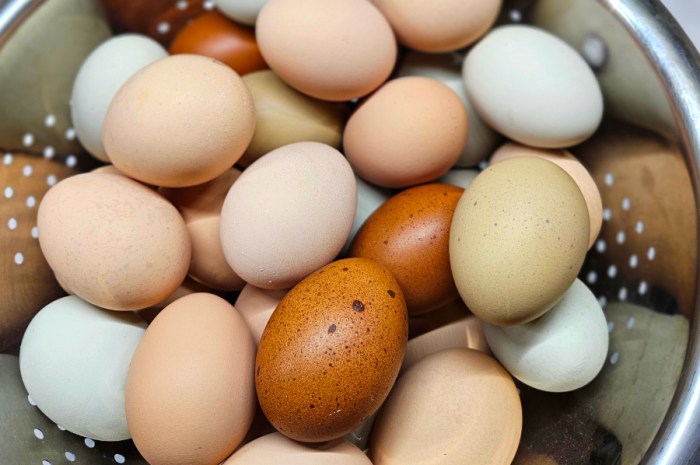 Do Chickens Need A Rooster To Lay Eggs?