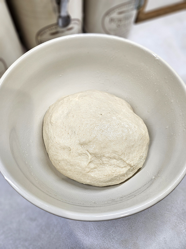 The dough before proofing
