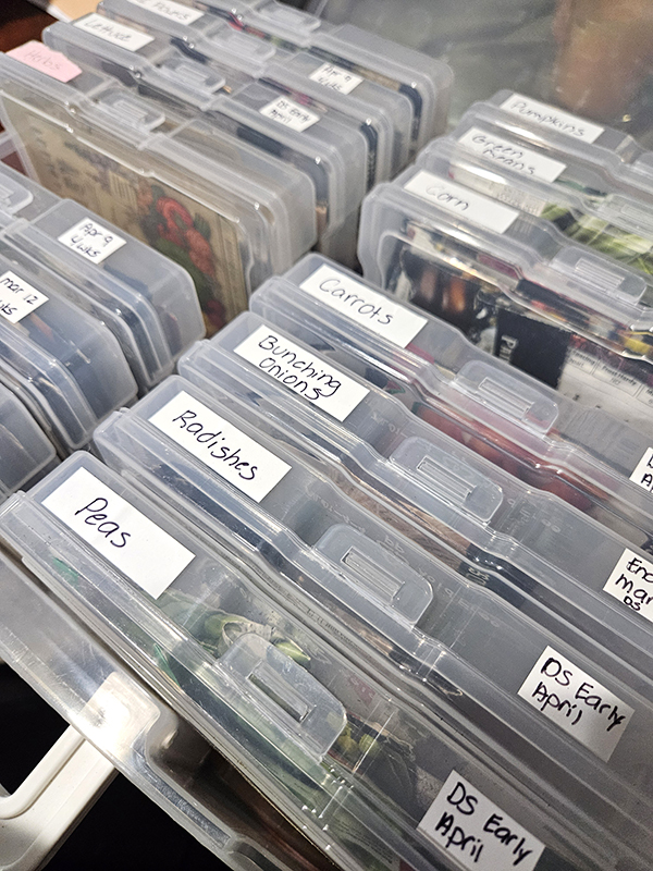 Seed storage - save garden seeds