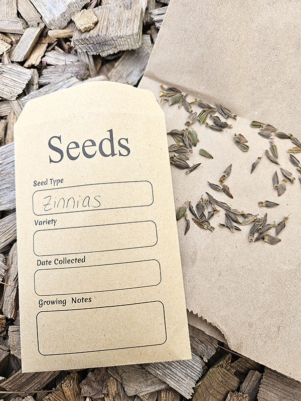 Seed packet for zinnia seeds I save