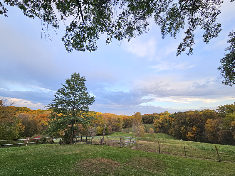 The trees and valley behind our house showing the fall foliage. One of the favorite parts of the view from our porch and deck