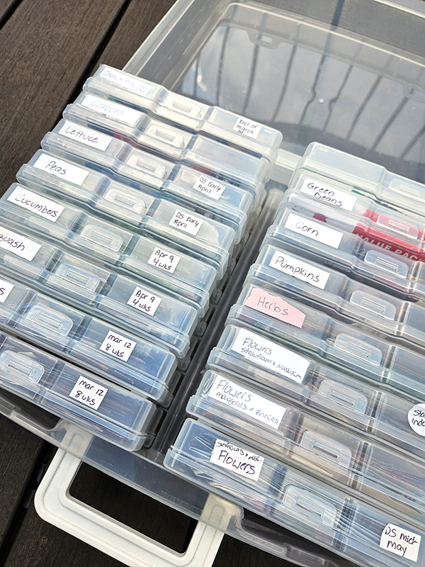Seed storage container in plastic photo containers - Best Free Seed Catalogs