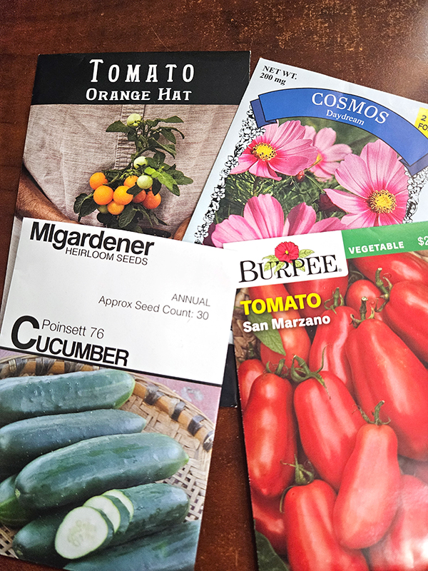 Four seed packets with the name and photo on the front.