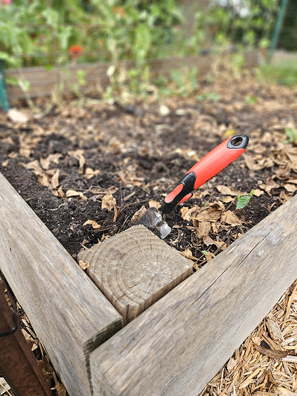 Empty raised garden bed - September 2025 homesteading update