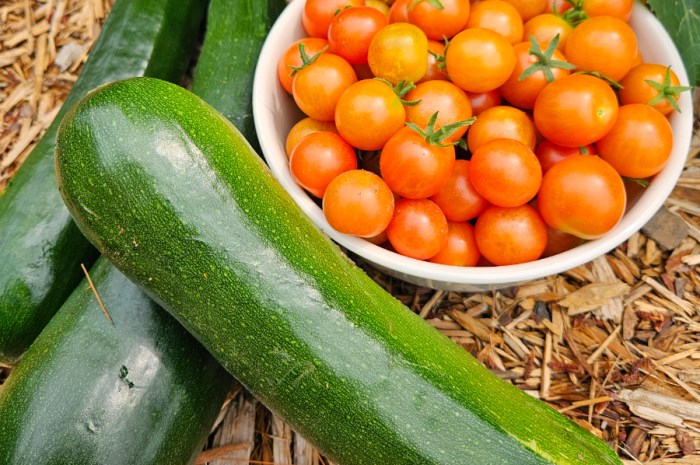 September Gardening Tasks For Growing Zone 5