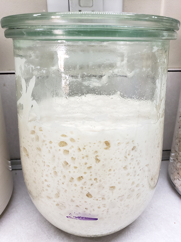 A bubbly sourdough starter