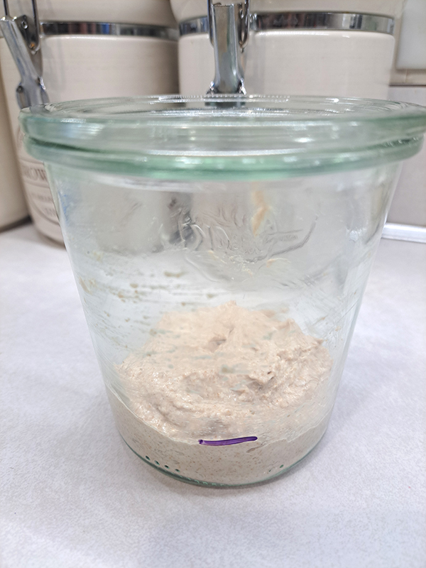 The flour and water mixed together to start the process of making a new sourdough starter.