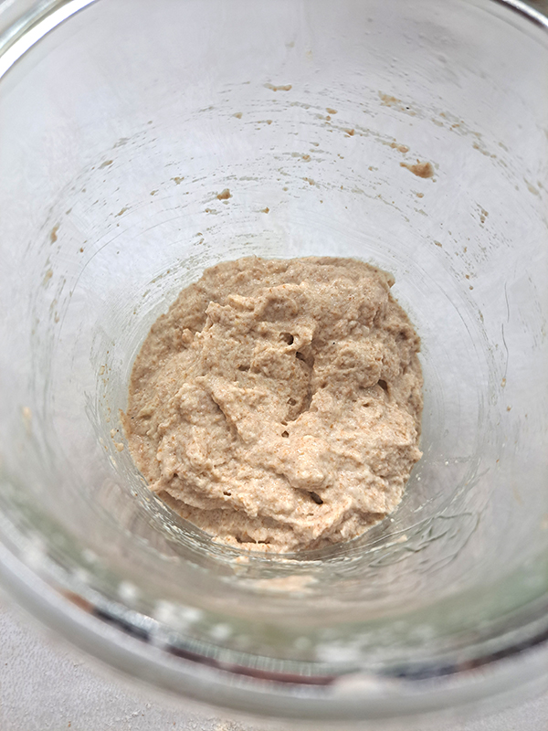 A mixed sourdough starter