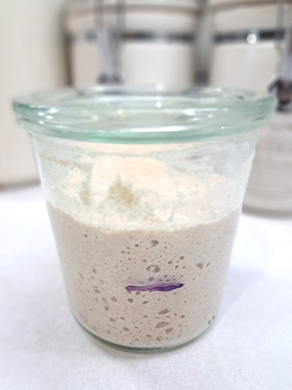 A new sourdough started that has now doubled in size and has tons of different sized bubbles incorporated throughout.