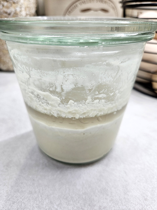 Hooch on a non bubbly sourdough starter.