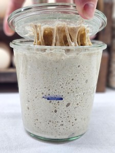 A bubbly and mature sourdough starter ready to use for baking