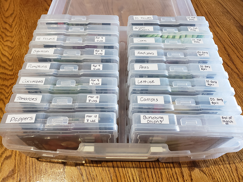 My photo storage box